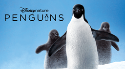 Pingouins