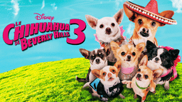 Le Chihuahua de Beverly Hills 3