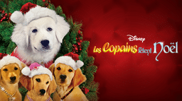 Les Copains fêtent Noël