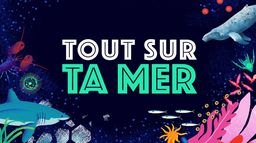 Tout sur ta mer