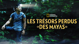 Les trésors perdus des Mayas