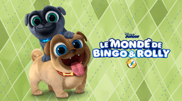 Le monde de Bingo et Rolly