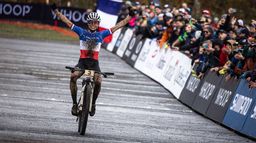 Coupe du monde de descente