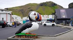 En Islande, on sauve les macareux