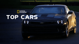 Top Cars