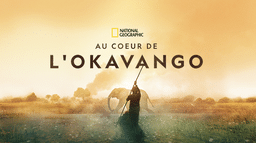 Au coeur de l'Okavango