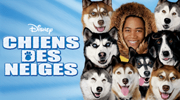 Chiens des neiges