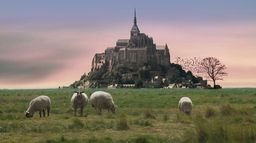 La guerre des moutons