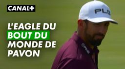 L'eagle du bout du monde  - The Players Championship 