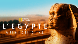 L'Egypte vue du ciel