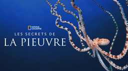 Les secrets de la pieuvre