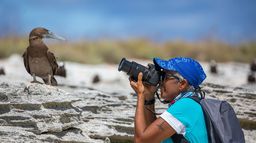 Brésil, les gardiennes de la nature