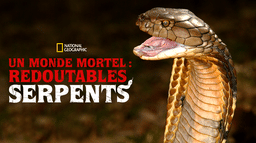 Un monde mortel : redoutables serpents