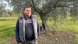 Vols d'olives : les producteurs en colère