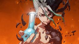 Dr. Stone