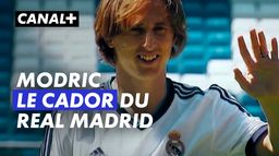 Luka Modric, le cador du Real Madrid