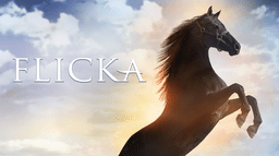 Flicka