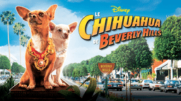 Le chihuahua de Beverly Hills