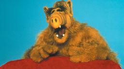 Alf