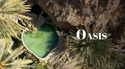 Oasis