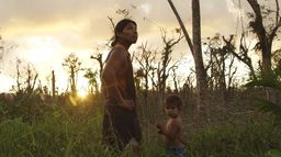 Nicaragua, des patrouilles pour sauver la forêt