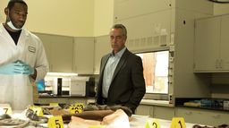 Harry Bosch - Saison 1