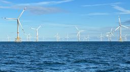 Les éoliennes en mer, quelle cohabitation avec la nature ?