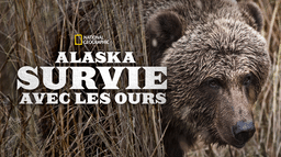 Alaska, survie avec les ours