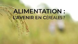 Alimentation : l'avenir en céréales ?