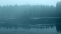 Walden ou la vie dans les bois - d'après Henry David Thoreau