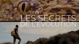 Les secrets de l'évolution