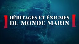 Héritages et énigmes du monde marin