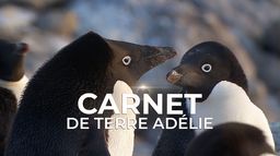 Carnet de Terre Adélie