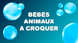 Bébés animaux à croquer