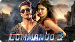 Commando 3