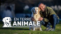 En terre animale