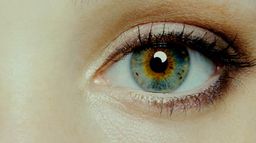 I Origins