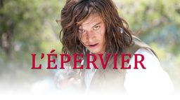 L'épervier