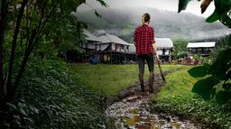 Jungletown