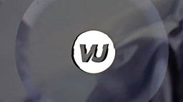 Vu