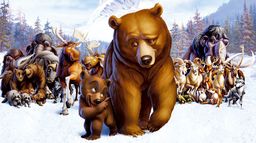Frère des ours