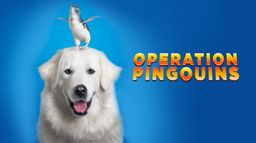 Opération pingouins