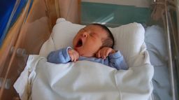 Bébés sur mesure