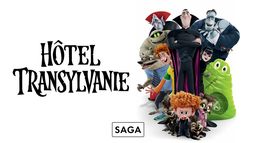 Saga Hotel Transylvanie