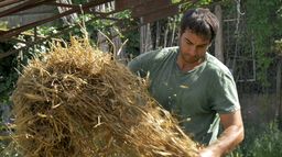 Le potager de mon grand-père