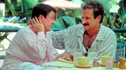 The Birdcage
