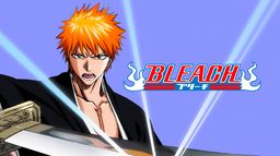 Bleach