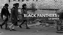 Black Panthers : la genèse