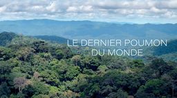 Le dernier poumon du monde