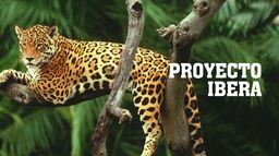 Proyecto Ibera